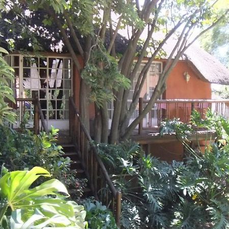 Treetops & Treats Guest House Pretoria-Noord Buitenkant foto