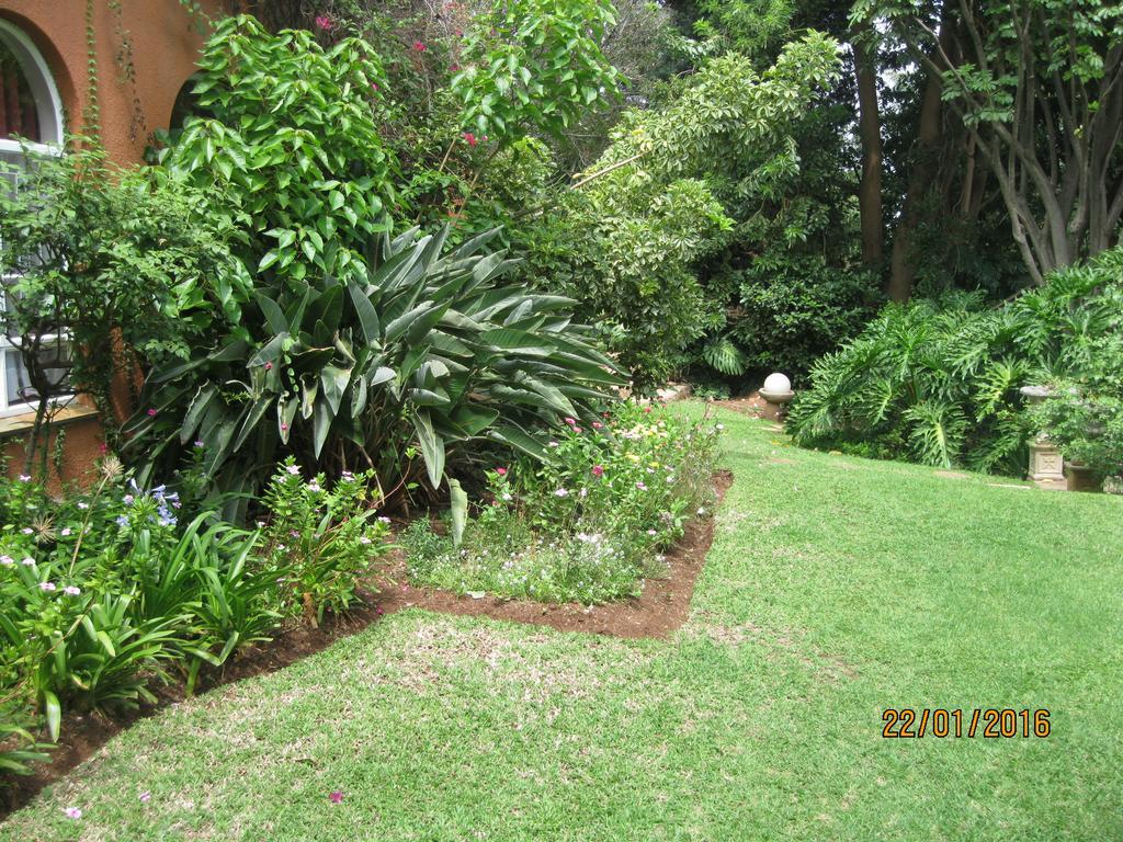 Treetops & Treats Guest House Pretoria-Noord Buitenkant foto