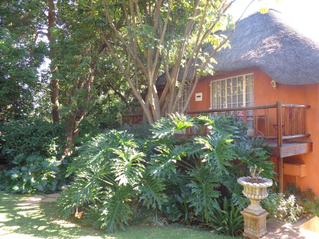 Treetops & Treats Guest House Pretoria-Noord Buitenkant foto